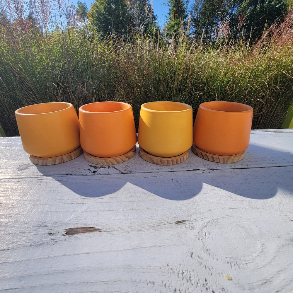 Orange & Yellow Succulent Planters ~ Vases  Candle Holders Boho  Cottage FINAL!